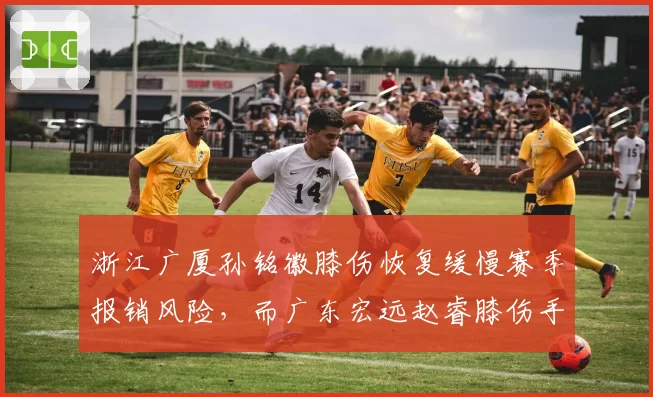 浙江广厦孙铭徽膝伤恢复缓慢赛季报销风险，而广东宏远赵睿膝伤手术成功如期复出