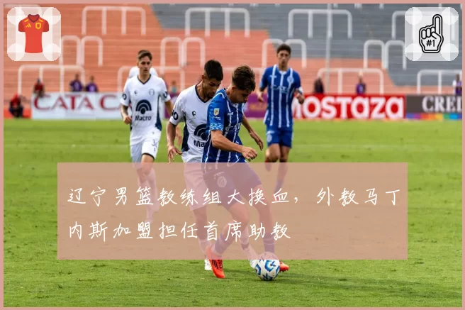 辽宁男篮教练组大换血，外教马丁内斯加盟担任首席助教